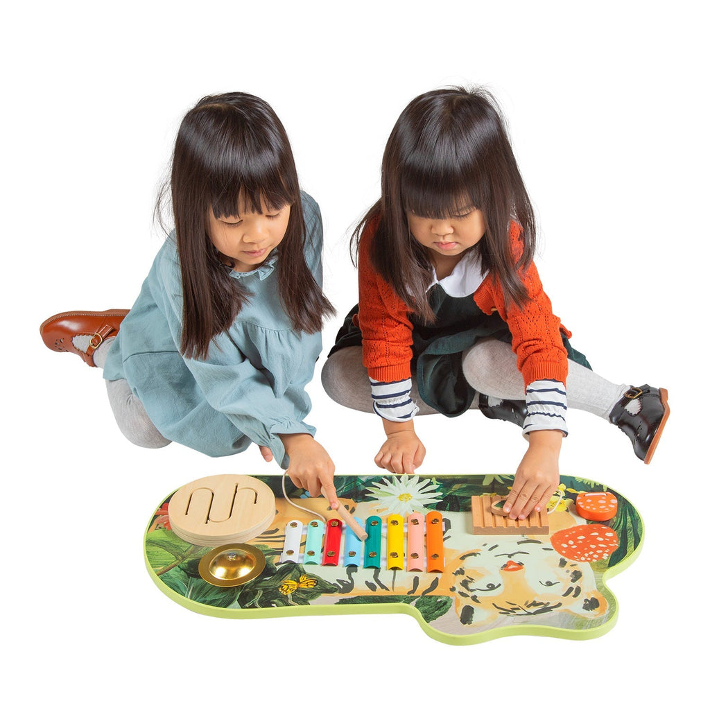 Tunes Wooden Activity Toy