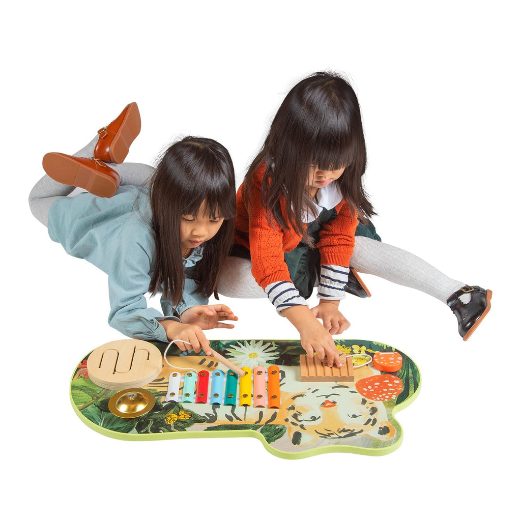 Tunes Wooden Activity Toy