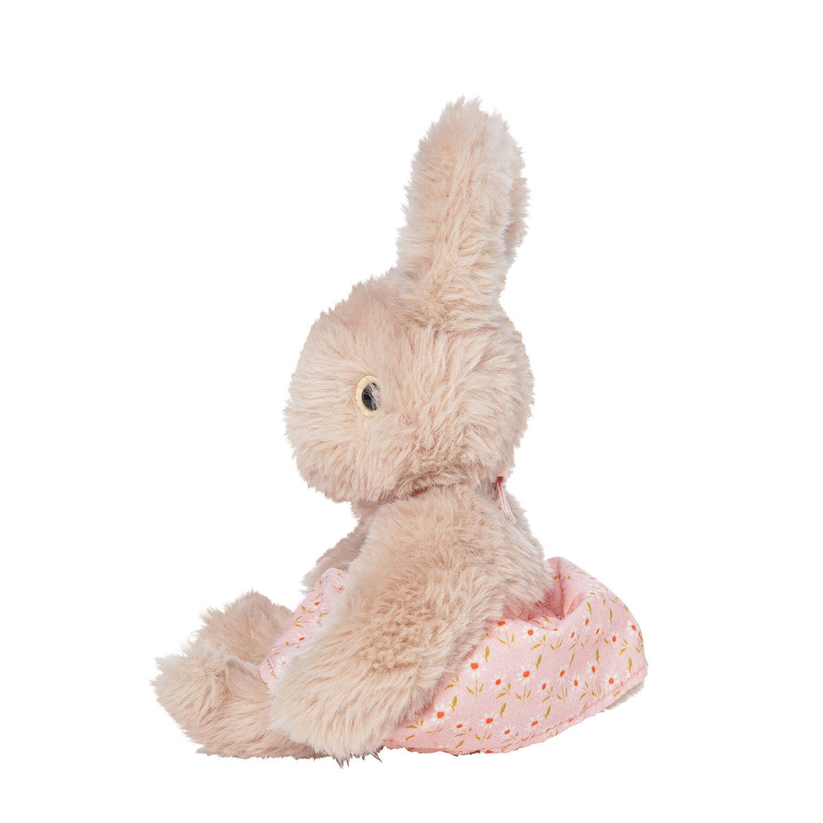 Little Friends Bunny Book