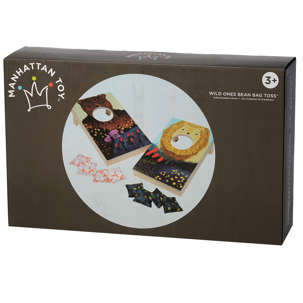 Bean Bag Toss Game