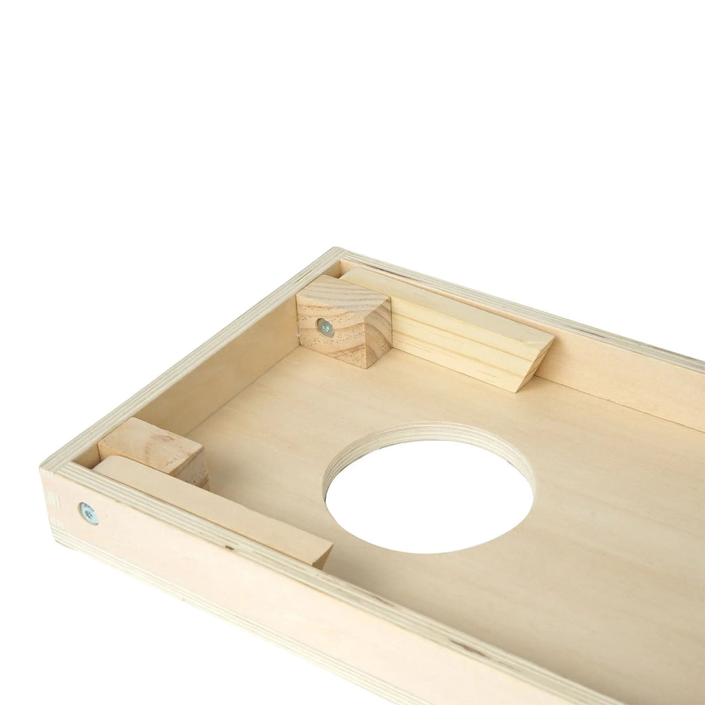 Bean Bag Toss Game
