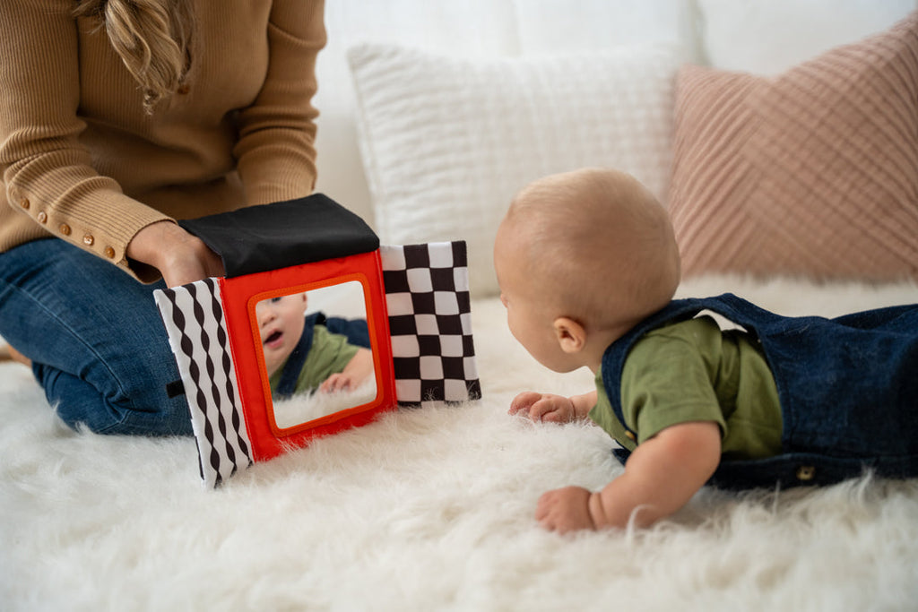 Wimmer Peek Go Mirror