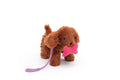 Petal the Dog
