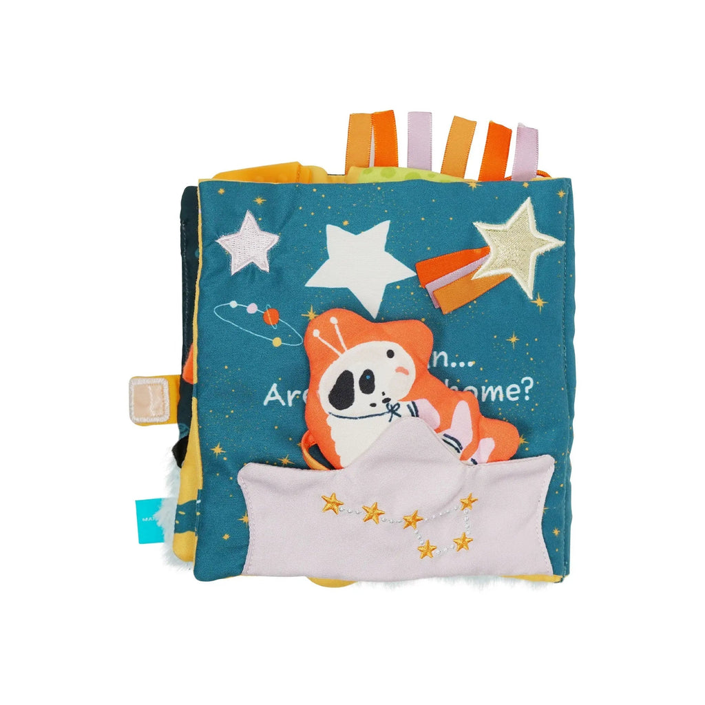 Rocket Finds Home Book